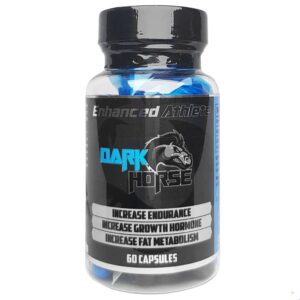 DARK HORSE